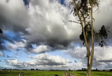 [NBA]亚历山大36+9 雷霆战胜.