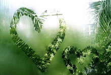 开云官网体育：[CBA]郭艾伦告别辽宁男篮.