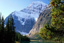 开云官网体育：[棋牌]第39届同里杯中国围棋天元赛开幕.